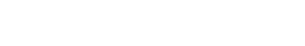 Simple CX Survey
